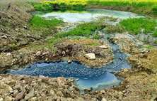 怎樣區分新舊好色先生丝瓜滲濾液？