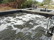 好色先生丝瓜滲濾液處理工藝