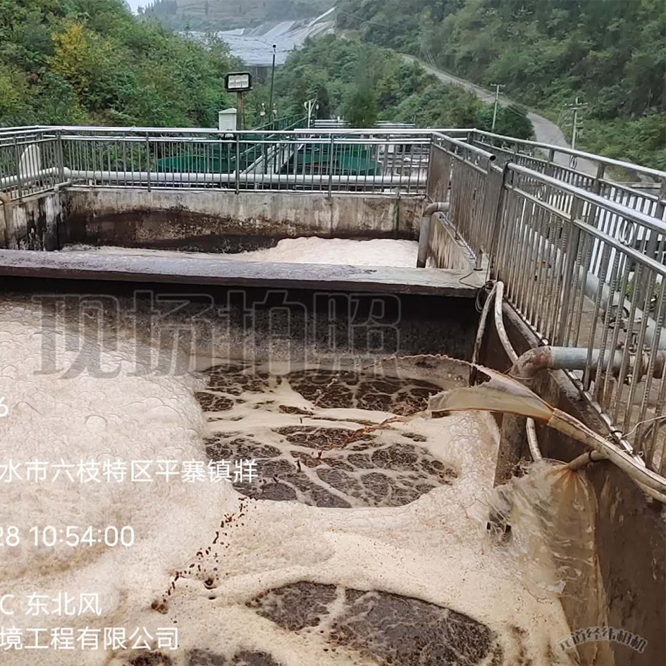 好色先生丝瓜滲濾液處理中泡沫產生的危害